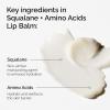 imageThe Ordinary Squalane  Amino Acids Hydrating Lip Balm for Lips Elbows and Cuticles 05 Fl Oz
